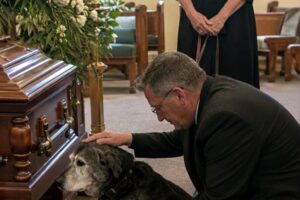 The Faithful Dog’s Heartbreaking Goodbye to His Owner — The
