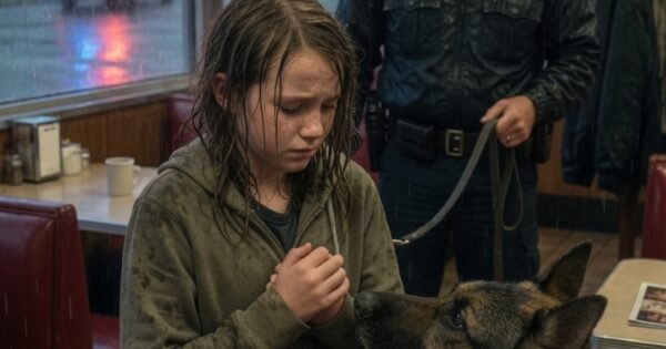 Police Dog Memory Stuns a Girl at a Rainy Diner Reunion